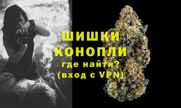 трава Богданович