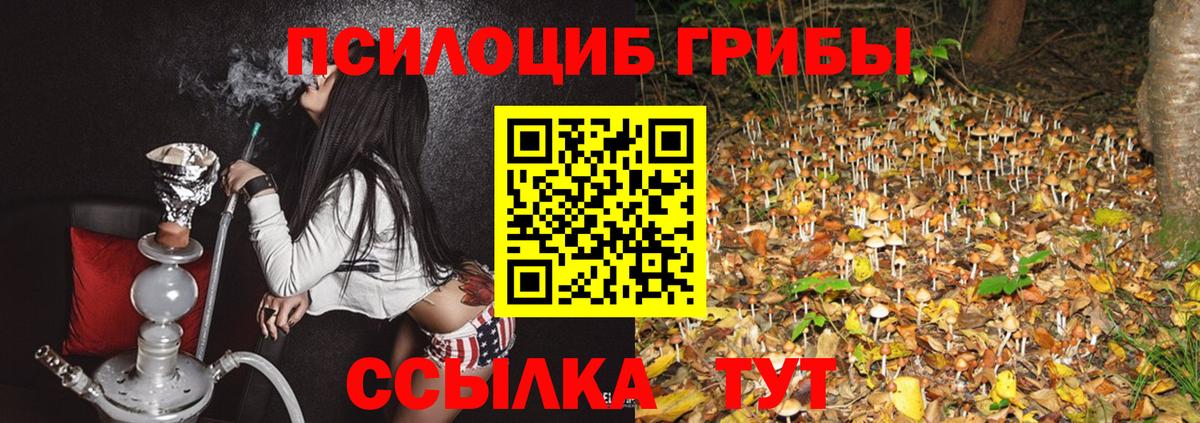 Псилоцибиновые грибы ЛСД Тулун