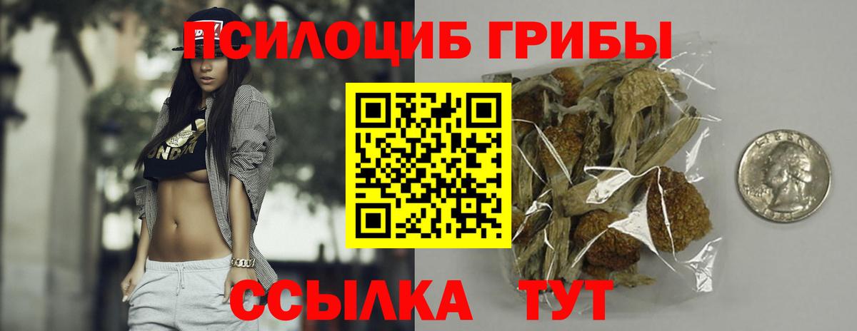 Галлюциногенные грибы MAGIC MUSHROOMS  Тулун 