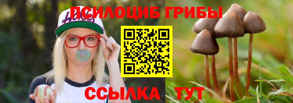 Псилоцибиновые грибы MAGIC MUSHROOMS  Вход с VPN  Галлюциногенные грибы мицелий  Тулун 