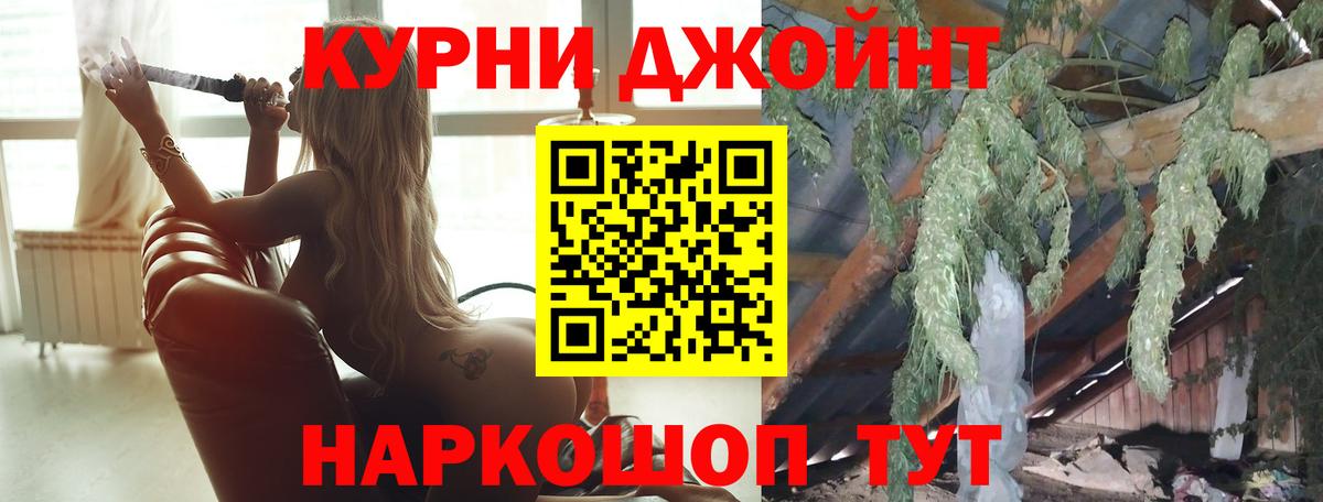 Бошки Шишки семена Тулун